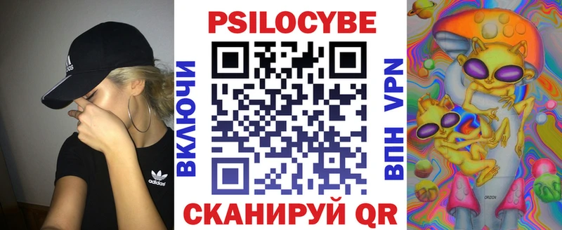 купить закладку  Слюдянка  Галлюциногенные грибы Psilocybine cubensis 
